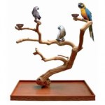 0203f-sun-parrots-arbol-java-tree-blcomederos