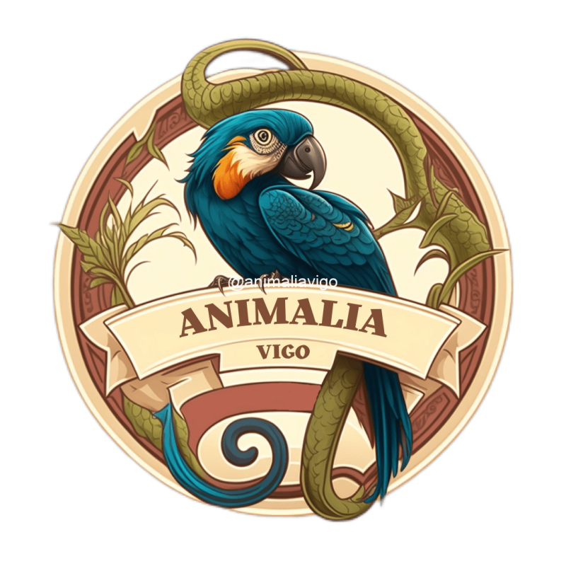 Esperando la imagen de producto