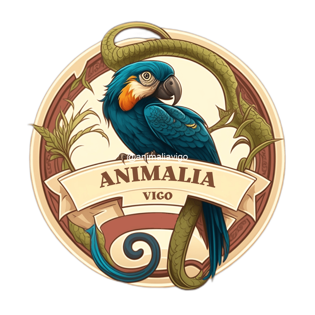 ANIMALIA VIGO