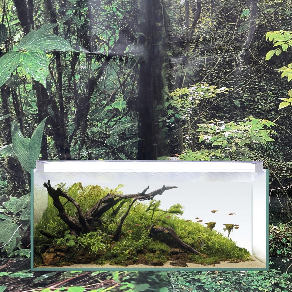 ACUARIO KIT AQUASCAPE 130 RGB