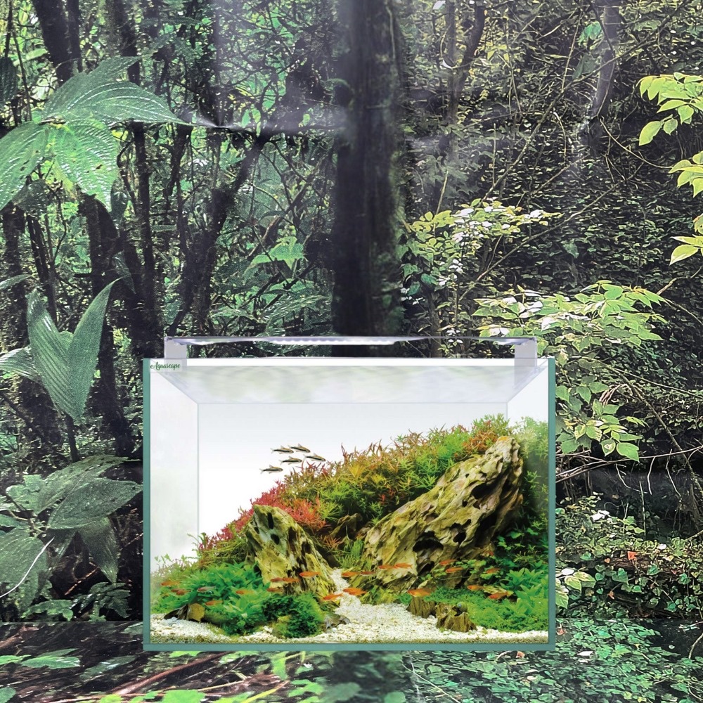 ACUARIO KIT AQUASCAPE 68 RGB