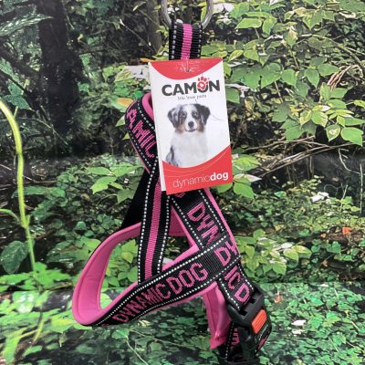 ARNES DYNAMIC 35CM ROSA