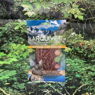 ARQ CHUCHE GATO PATO