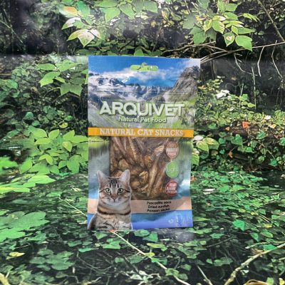 ARQ CHUCHE GATO PESCADO