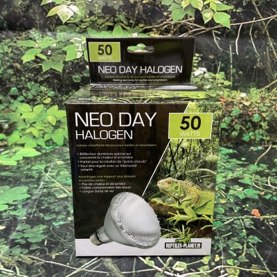 BOMBILLA CALOR DIA 50W