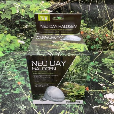 BOMBILLA CALOR DIA 75W