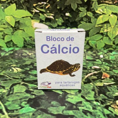 CALCIO TORTUGA