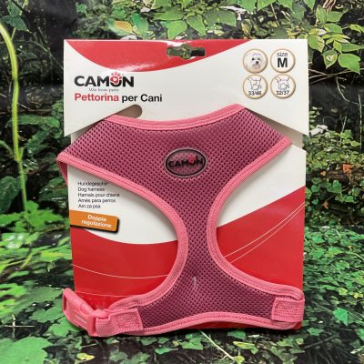 CAMON ARNES PETTORINA M ROSA