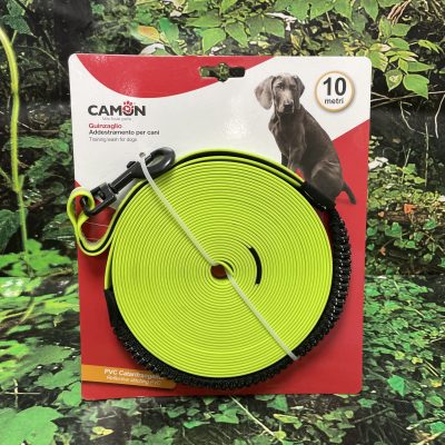 CAMON CORREA ADIESTRAMIENTO 10M