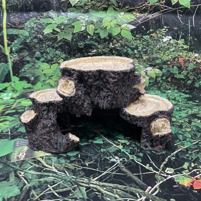 CUEVA TRONCO X-GRANDE