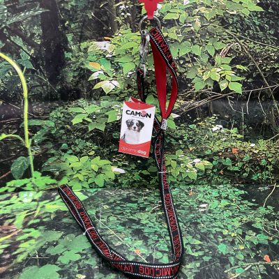 CAMON CORREA DYNAMIC 20X1800 ROJO