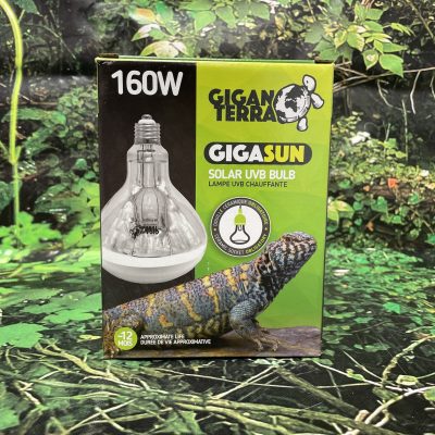 GIGAN BOMBI MERCU 160W