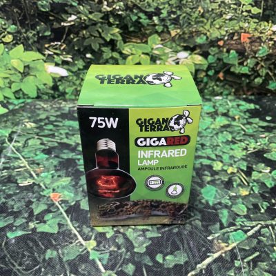 GIGAN INFLARED 75W