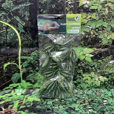 GIGAN PLANTA COLGAR 252