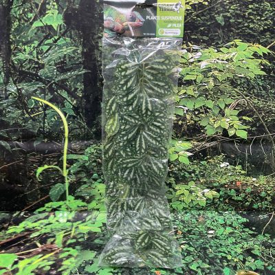 GIGAN PLANTA COLGAR 260