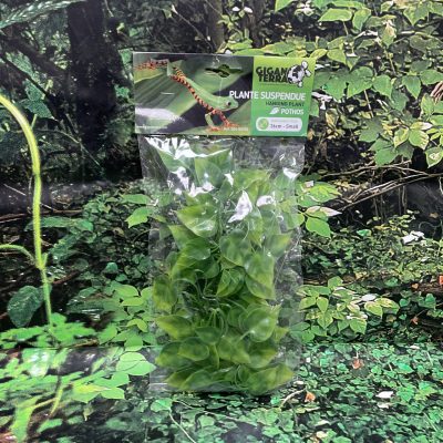 GIGAN PLANTA COLGAR 355