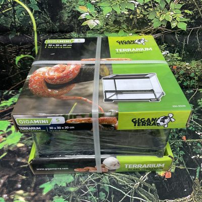 GIGAN TERRARIO CRISTAL 30X30X20