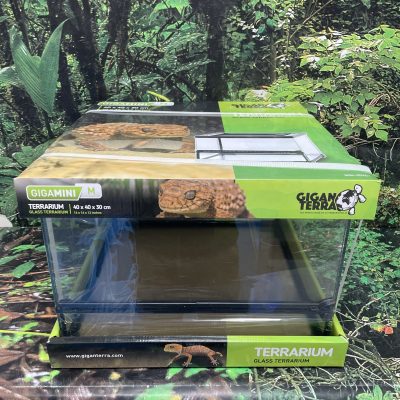 GIGAN TERRARIO CRISTAL 40X40X30