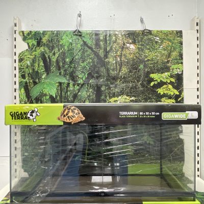 GIGAN TERRARIO CRISTAL 80X50X50