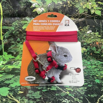 ICA ARNES CONEJO ENANO
