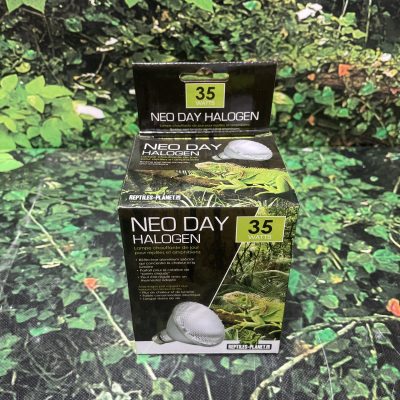 NEO DAY 35W