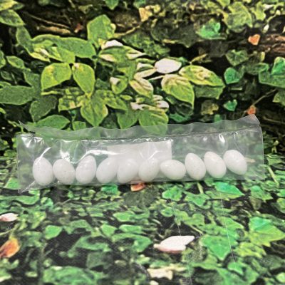 PACK HUEVOS PLASTICOS