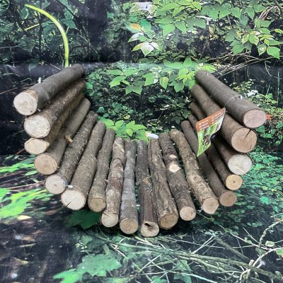 PUENTE MADERA ROEDOR GR