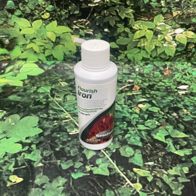SEACHEM IRON 100ML
