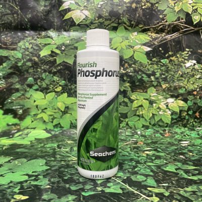 SEACHEM PHOSPHORUS 250ML