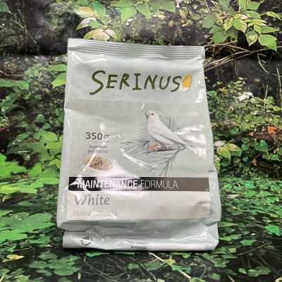 SERINUS WHITE MAINTENANCE