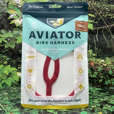 THE AVIATOR RED S