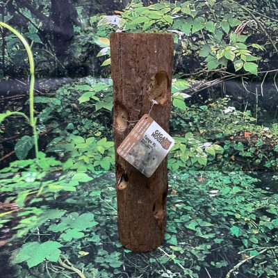 TRONCO TUNEL ROEDOR XL