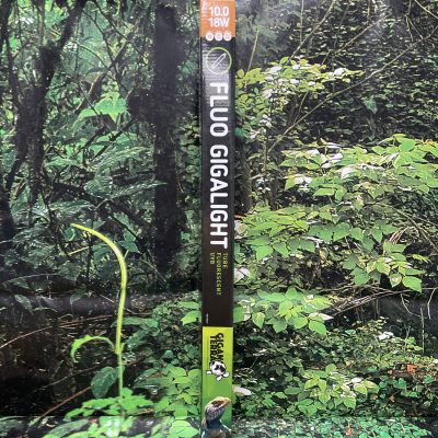 GIGAN TUBO T8 10.0 18W 60CM