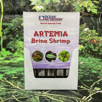 OCN CONGELADO ARTEMIA