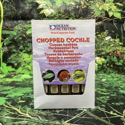 OCN CONGELADO BERBERECHO