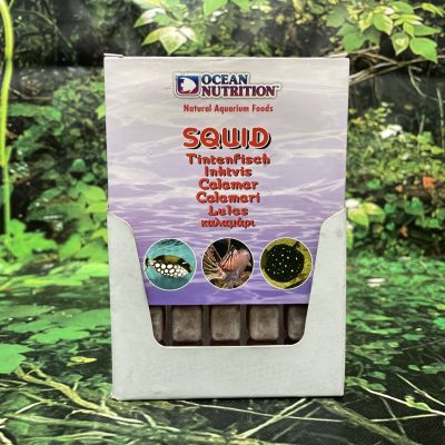 OCN CONGELADO CALAMAR