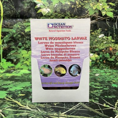 OCN CONGELADO LARVA BLANCA