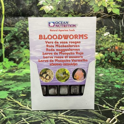 OCN CONGELADO LARVA ROJA