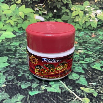 OCN GRANO TORTUGA 60GR