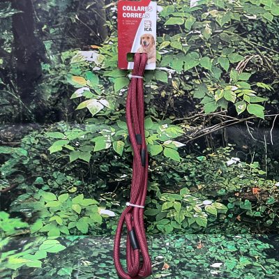 ICA CORREA ADIESTRAMIENTO BASICA S