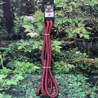 ICA CORREA ADIESTRAMIENTO L