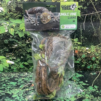 GIGAN LIANA CON PLANTA M
