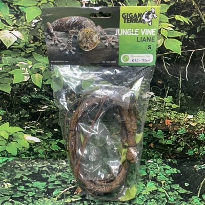 GIGAN LIANA CON PLANTA S