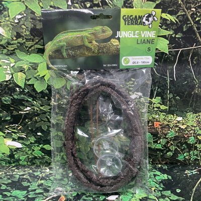 GIGAN LIANA SIN PLANTA S