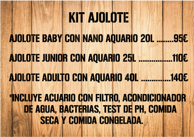 KIT AJOLOTE