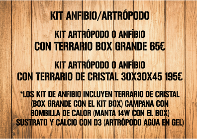 KIT ANFIBIO/ARTRÓPODO