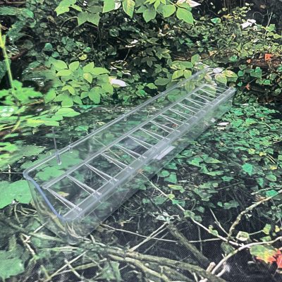 COMEDERO DIVISION 14 L PTG