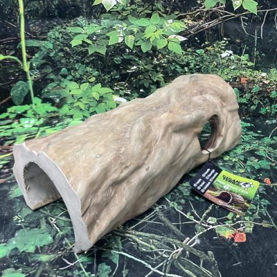 GIGAN CUEVA DE JAVA GRANDE