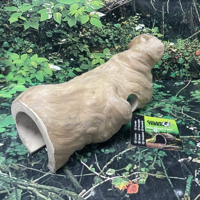 GIGAN CUEVA DE JAVA PEQUEÑA