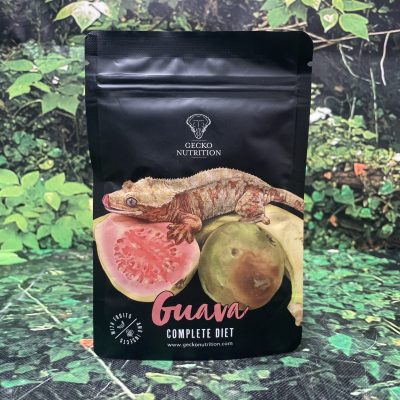 GIGAN PAPILLA GECKOS GUAVA